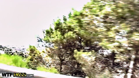 Blurry seaside pines view for wild student orgy video