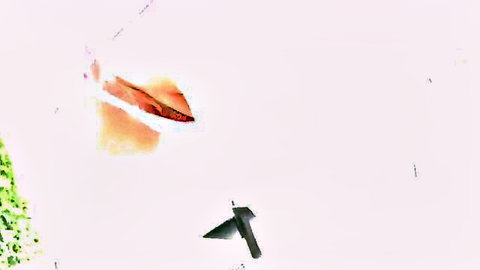 Brunette deepthroats thick cock with stretched orange lips and bulging throat
