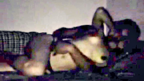 Indian teen babe intimately cuddling with boyfriend on bed late night