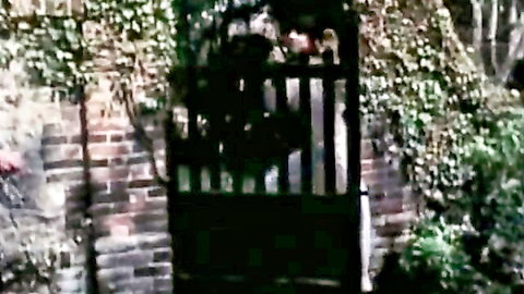 Ivy-covered wrought iron garden gate with brick walls and greenery