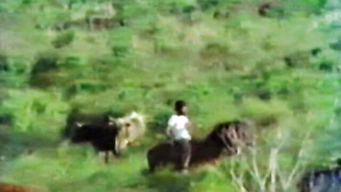 Young boy riding brown horse in green field with black and white cows