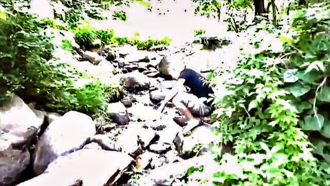 Sensual Asian babe bends over wet rocks in outdoor stream teasing her round ass