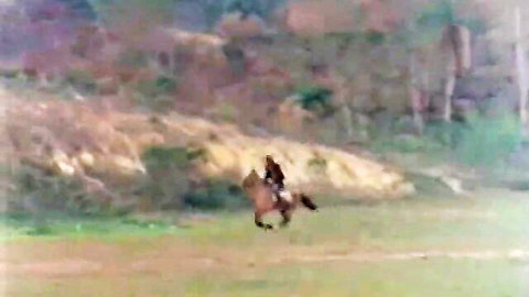 Retro busty babe on horseback in outdoor tease