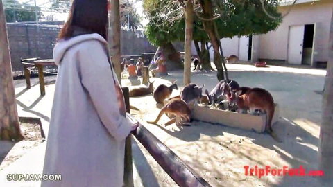 Woman in white coat watches otters during hot milking birth celebration