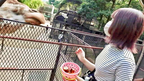 Purple-haired woman feeding large bird in outdoor POV style