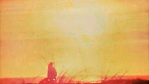 Vintage silhouette of woman in golden sunset grass, retro porn teaser