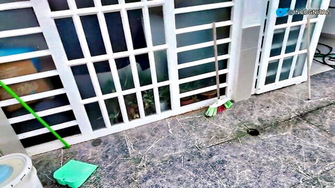 Outdoor patio cleaning scene with green broom mop bucket hose by white glass doors