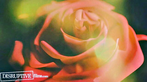 Vibrant red rose thumbnail for Michael Boston's hot gay reality show