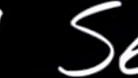 Elegant white SS logo on black background for adult video studio