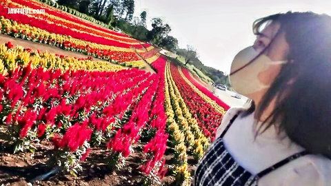 Nat poses seductively in vibrant flower field, white top and apron