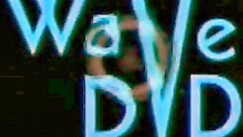 Blurry neon cyan WAVED logo glowing on black background