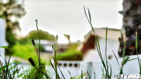 Maitland Ward in outdoor MILF teaser, lush greenery and hazy sunset vibes