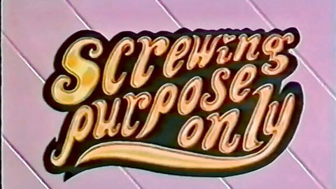 Screwing purpose only stylized gold text graphic on pink purple background