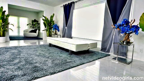 Empty modern casting couch room with white sofa blue orchids ready for amateur pussy auditions