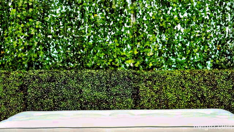 Empty white bed against lush green leafy backdrop in steamy adult studio setup