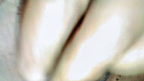 Blurry close-up of pale shaved pussy lips and tight folds