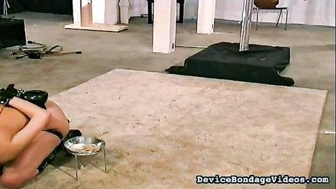 Bound woman endures genital clamps on pussy in intense BDSM torment, Fetish Network