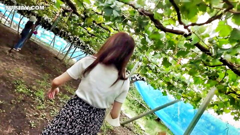 Beautiful Asian woman in vineyard, walking away in skirt and top from behind