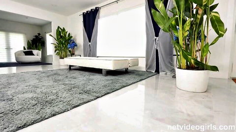 Empty modern casting room with white couch tropical plants blue curtains for amateur porn auditions