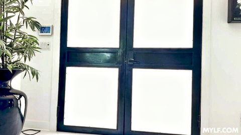 Elegant black frosted glass doors with bamboo plants and vase in MYLF luxury setting