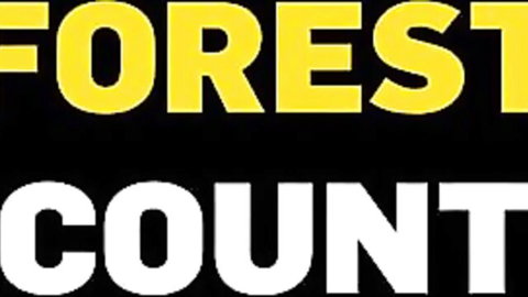 Bold yellow FOREST text above white COUNT logo on black background