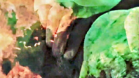 Blurry closeup of orange fingers pressing into green gooey substance