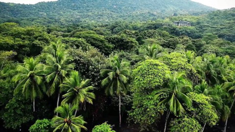 Bridgette B & Ivy Wolfe honeymoon in lush tropical jungle villa paradise