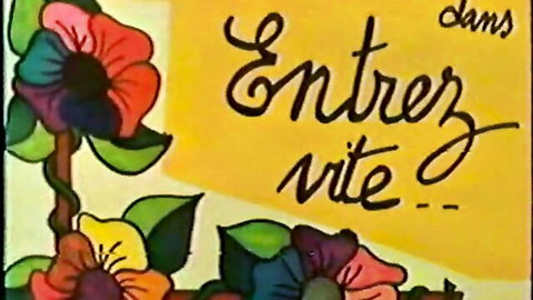 Colorful floral art framing French text 'Entrer dans la nuit' vintage poster