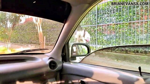 White fluffy dog peeking through green fence outside car window interior view