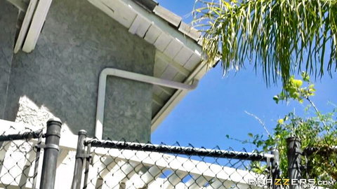 Sunny outdoor backyard with palm trees, stucco wall, drain pipe and chain link fence