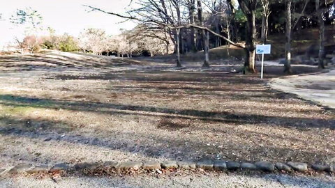 Scenic outdoor wooded path with gravel and trees, teasing college freshmen adventure