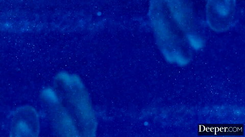 Abstract blue underwater jellyfish floating in dark water with sparkles