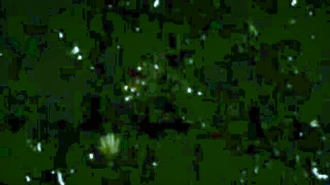 Blurry green-tinted abstract image with glowing white spots and no visible figures or action