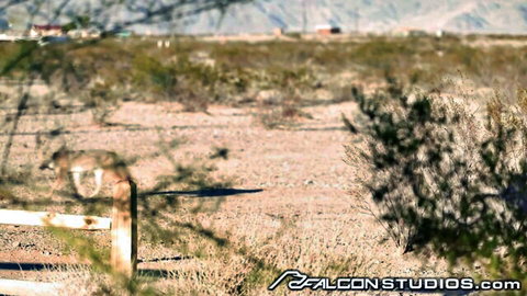 Tristan Hunter outdoors in desert, riding hunk with swinging cock