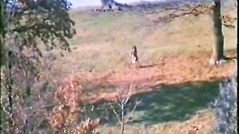 Blurry outdoor shot of distant woman walking in autumn field, Italian lingerie secretary tease