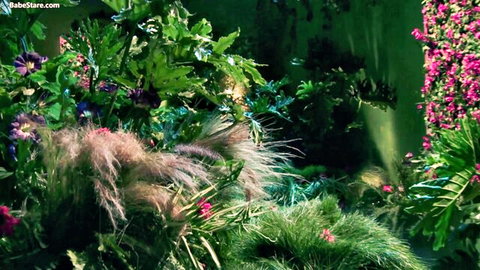Lush green jungle foliage in sexy Poison Ivy costume parody adult video