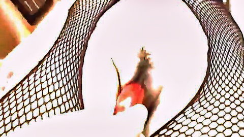 Asian teen in fishnets masturbates, shaved pussy pounded in group