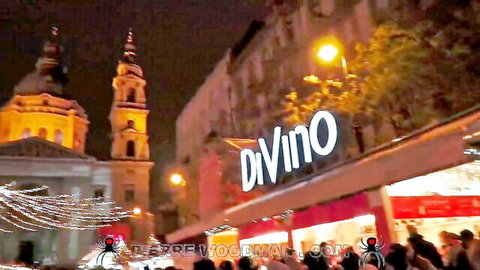 Nighttime crowd gathers outside Divino bar near ornate church with Christmas lights and spider decorations