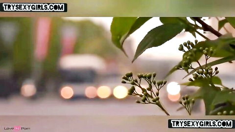 Blurry outdoor teaser for steamy Indian couple sexcapade