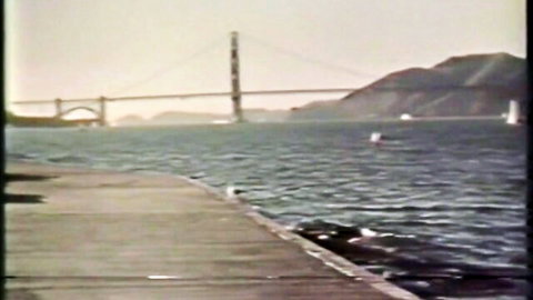Retro curvy French teens sharing thick cock near Golden Gate Bridge