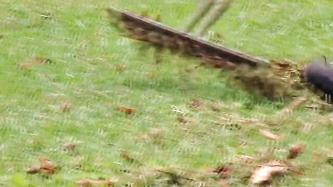 Hot studs outdoor gay anal pounding in nature