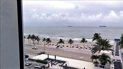 Overcast beach view from hotel window with palm trees ocean and distant ships