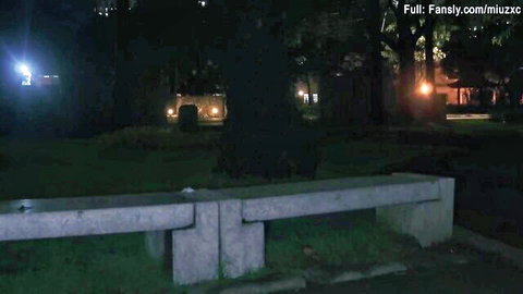 Dark night outdoor park bench with grass and trees under dim lights
