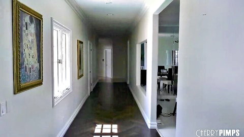 Empty luxurious white hallway with gold-framed painting and cherry pimp watermark in porn mansion
