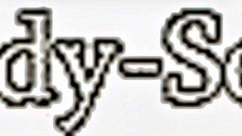 Stylized black-outlined BADY-SSE watermark text on white background