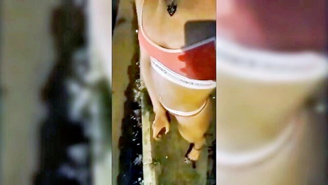Street ladyboy in red bikini bottoms exposing herself outdoors seeking clients