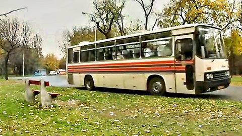 White red-striped bus parked beside park bench amid autumn trees and grass