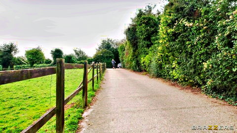 Scenic rural path with dog walking amid green fields and hedges under cloudy sky