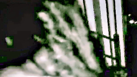 Natella in shadowy anal scene behind prison bars, intense and mysterious