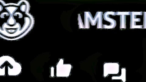 Cartoon panda bear logo with glitchy AMSTERTEST text and cloud thumbs up chat icons on black background